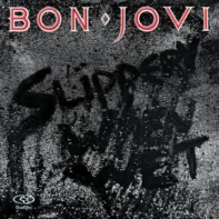 Omot za vinil plotu Bon Jovi Slippery When Wet vinyl